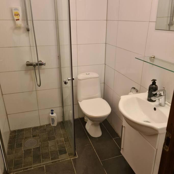 Lake View Apartment, Oldedalen Stryn Ngoại thất bức ảnh